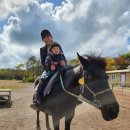 서우목장 2 이미지