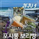 커피엔보리빵 | 제주도 보리빵 맛집 "포시롱보리빵", 봉개동 빵집에서 만난 쑥빵·쑥찐빵 솔직후기