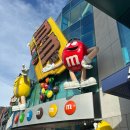 사랑이피는약국 | 미국 여행 8 - 샌프란시코에서 라스베가스로 넘어가기!,호스슈 호텔,라스베가스 메인 스트리트 간단하게...