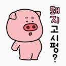 미식유가 이미지