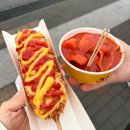 부일약국 | 2월의 일상 : 퇴근해서 낮잠자던 어른이의 삶을 잃고 워크하이 겪는 직장인이 되어버림