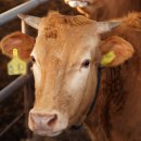 이윤축산 이미지