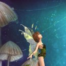 타로카드상담 이미지