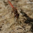 진영부동산공인중개사사무소 이미지