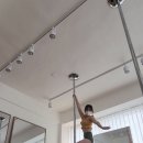 앨리캣폴스튜디오 이미지