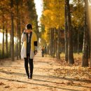 어느가을 오후 이미지