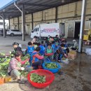 마한주유소 이미지