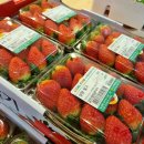 믿을마트 이미지