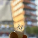 The봄안경원 이미지