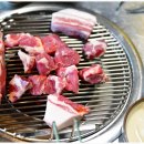 제주흑도야지 이미지