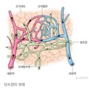 정체원 - 강남구 논현로85길 58 | 정체원