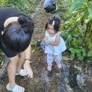 해와달농장 이미지