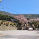 남지장사 - 1141 | 남지장사