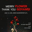 메리플라워 이미지