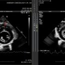 한남심장내과동물병원 이미지