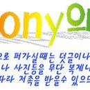 안용태내과의원 이미지