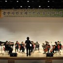 충주시민오케스트라 티스토리