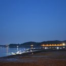 태안 야간 해루질 포인트 추천｜성공적이었던 갯벌체험 조과 후기와 준비물