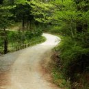 축령산 백련동(추암) 이미지