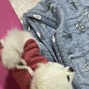 동수북로 | 🔮인천점집 추천｜신년 맞이 다녀온 부평점집 도솔사 후기