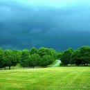 초록풍경 이미지