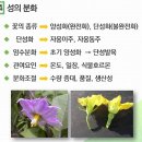 웅주농장 | [강의] 채소원예학 (2)_12~22