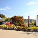 까치울먹거리촌 이미지