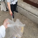 고암초등학교 앞 이미지