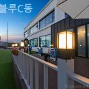 메르블루 이미지