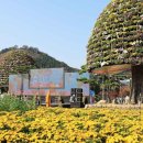 대한민국 국향대전 지역예술단체 공연 이미지