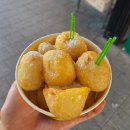 양양동물병원 | 양양 낙산해수욕장 / 강원도 1박2일 일정 / 홍천휴게소 / 물회 / 6월 해수욕 수온