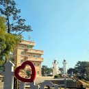 바다와하얀등대 | 울산여행 바다절경코스 대왕암공원 출렁다리 울기등대까지 산책길