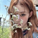 소담 이미지