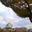 양우메디칼 이미지