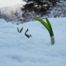 에덴요양병원 이미지