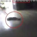 나현유치원 이미지