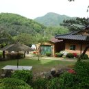 (주)배나무골 이미지