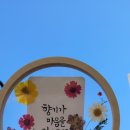 모그숨 이미지