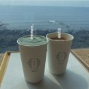 [8월 제주도] 2일차 여행코스/정직한돈/해지개/나홀로나무/문도지오름/도구리알/김선장회센타