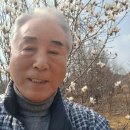 월농장 Daum카페