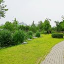 장자호수공원 이미지