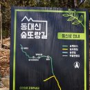 1월28일,동대신 숲또랑길,엄광산숲길 이미지