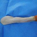 하남동물병원 이미지