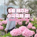 6월 제주도 여행 가볼만한곳 휴애리 수국축제 그냥 가지 마세요