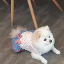 #예쁨헤어살롱