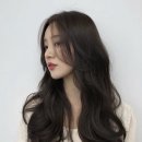 디톤헤어부평
