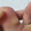 진천가톨릭피부과의원 이미지