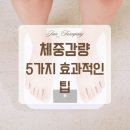 지안팜퍼니