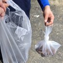 풍기우체국 이미지