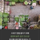 청소의신 이미지